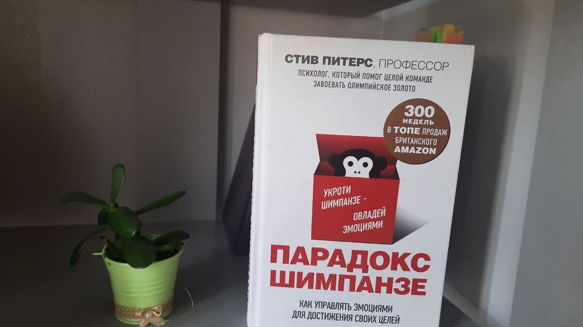 Красивая книжка, не правда ли?