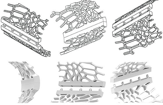 3D каркасы способствуют заживлению тканей после имплантации и нетоксично биоразлагаются