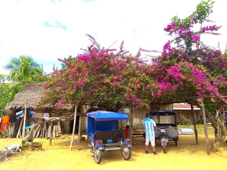 в ближайшей деревне