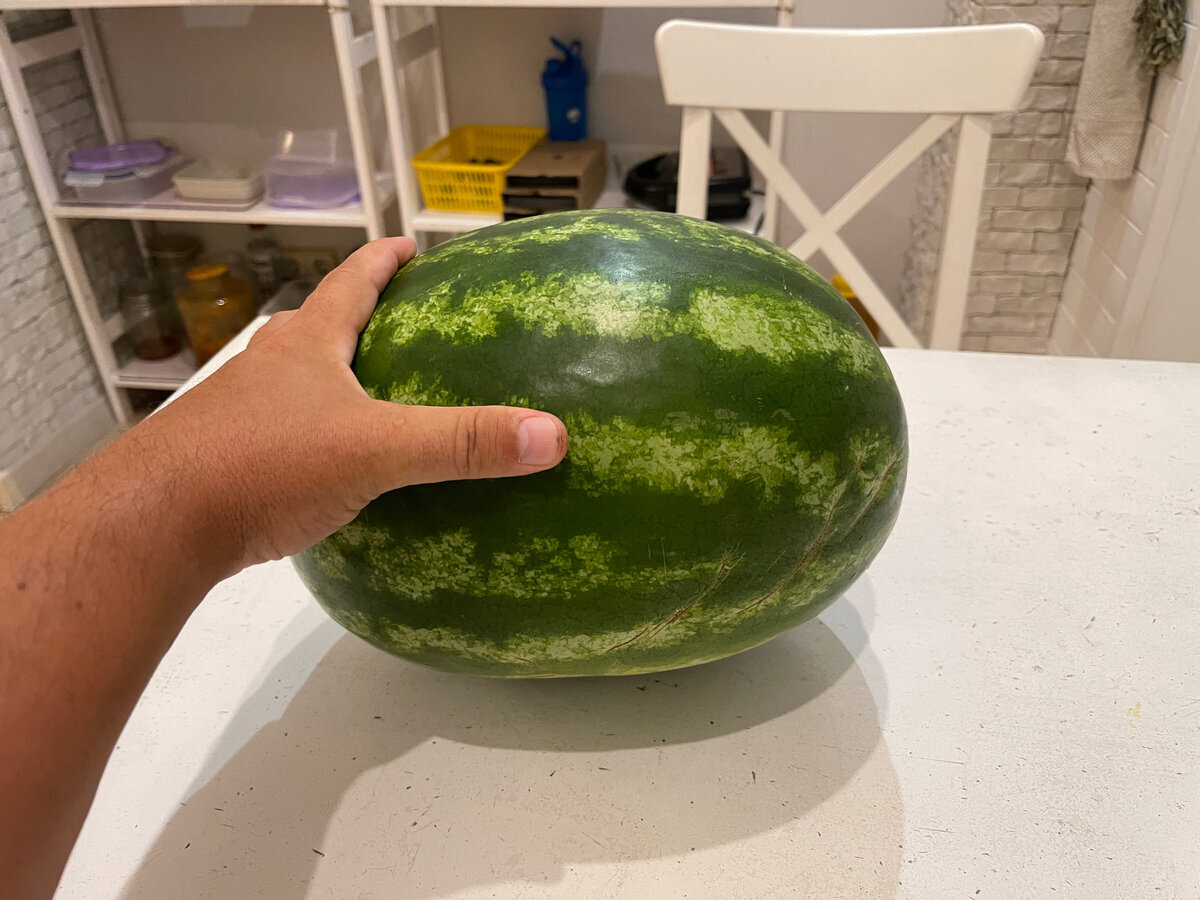 Watermelon 2