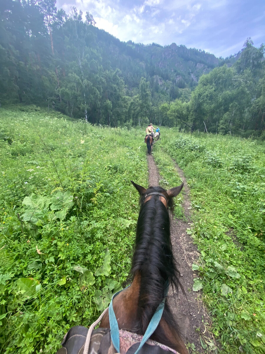 Конная прогулка