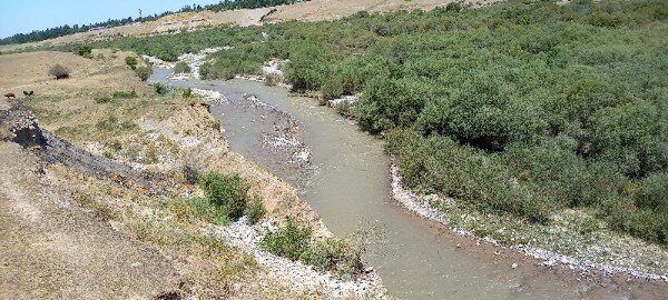 А в этой речке можно намыть золото? Фотография реки, а есть ли в ней золото? 