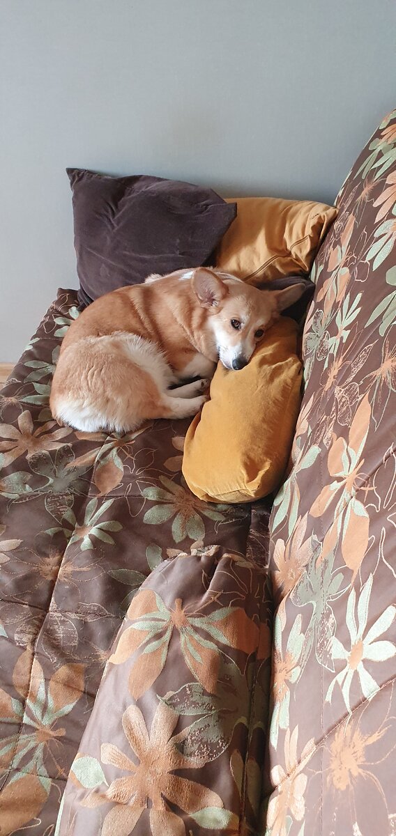 Очень удобно на подушке!