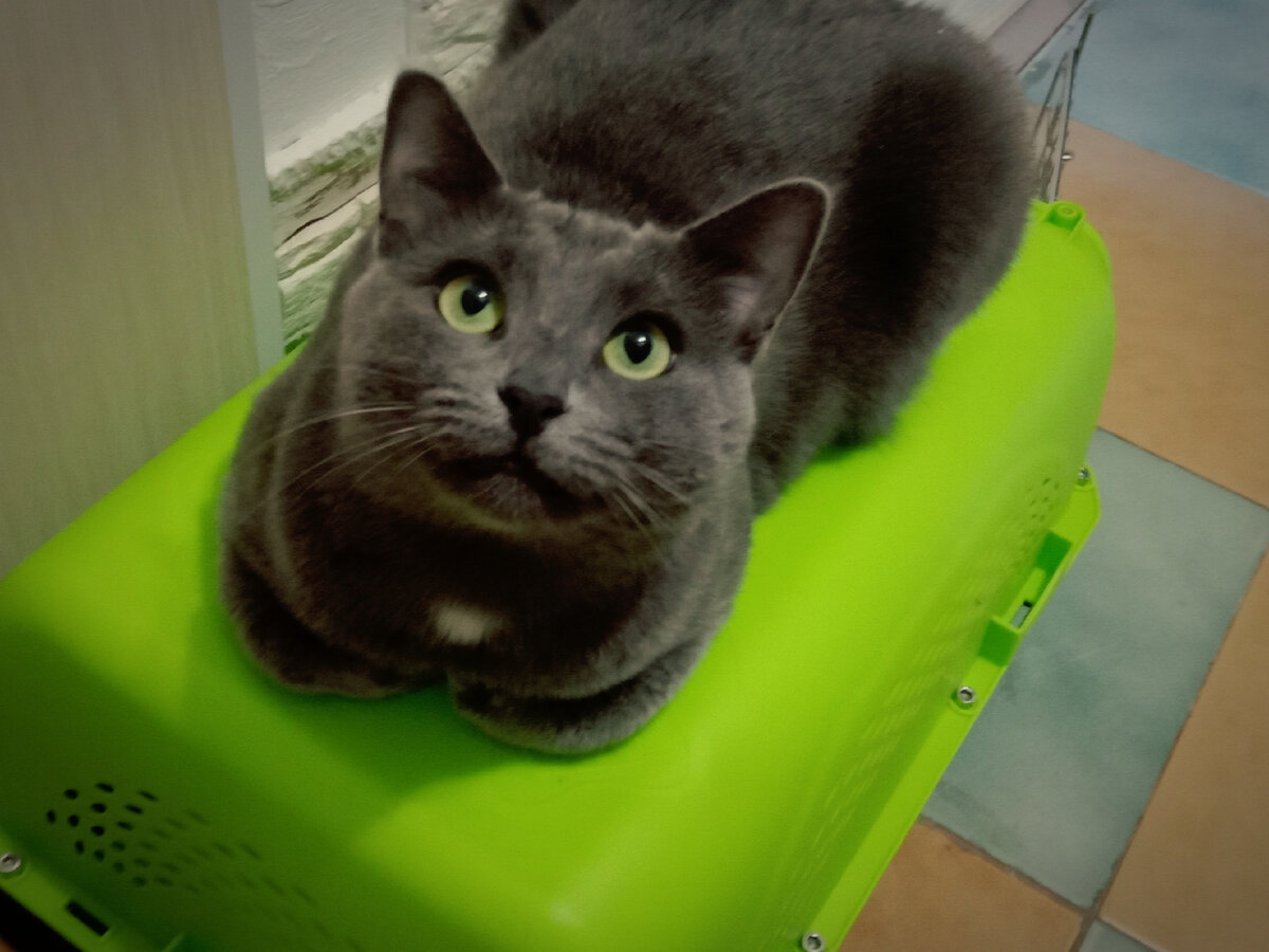 Меня берете с собой?