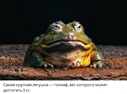 взято из открытых источников