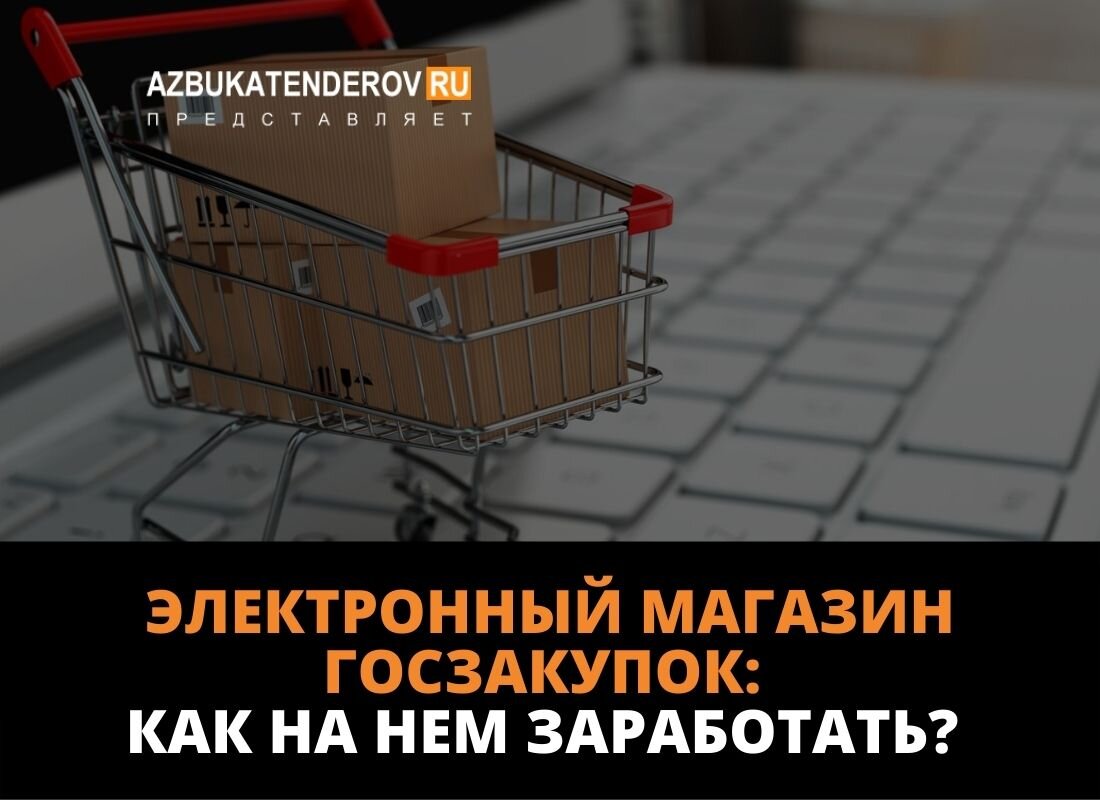 Отзывы о магазине покупка. Электронный магазин госзакупок. Магазин госзакупок. Госзакупки мини фото маленького объема. Что такое электронный магазин в госзакупках.