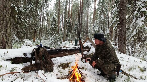 ПО СЛЕДАМ ЧЁРНЫХ ЛЕСОРУБОВ. ЧТО Я ОБНАРУЖИЛ В ТАЙГЕ. ПОИСКИ ИЗБУШКИ БРАКОНЬЕРОВ. ТЯЖЁЛЫЙ ПОХОД В ТАЕЖНУЮ ГЛУШЬ.