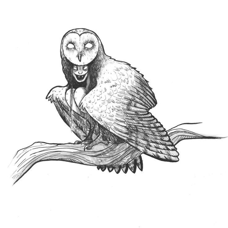 (Изображение из Яндекса)