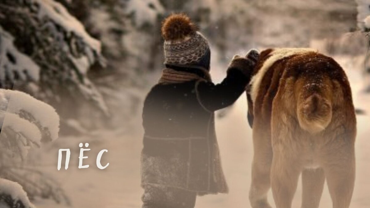 Приятного прочтения, дорогие читатели 🤍