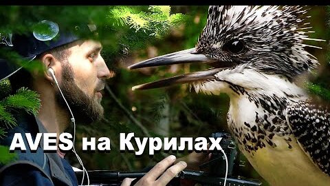 Сотрудники AVES на Южных Курилах - в поисках края Земли | Film Studio Aves