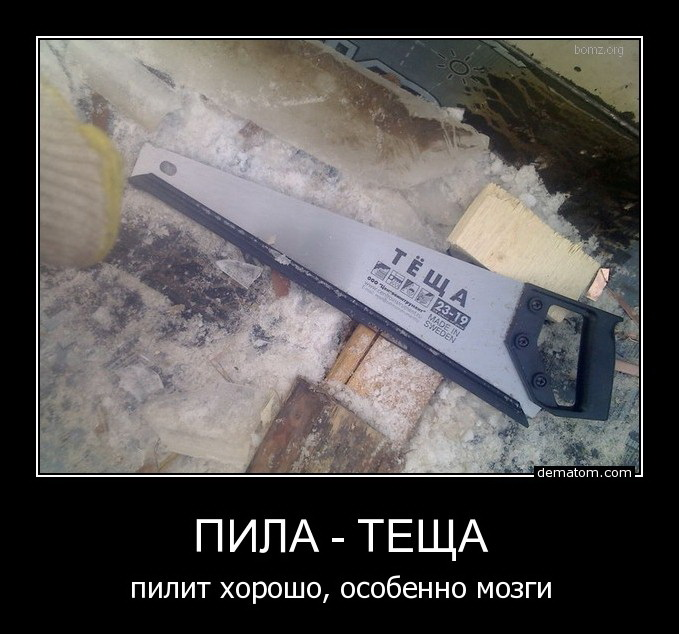 Приколы про тещу картинки