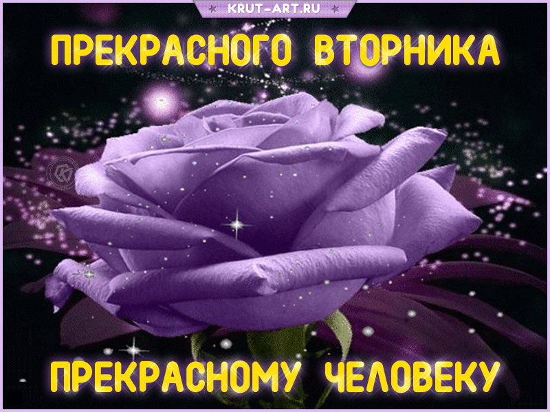 Красивая картинка на каждый день с пожеланиями классного вторника, гиф анимация с розой, плейкаст хорошего вторника друзьям