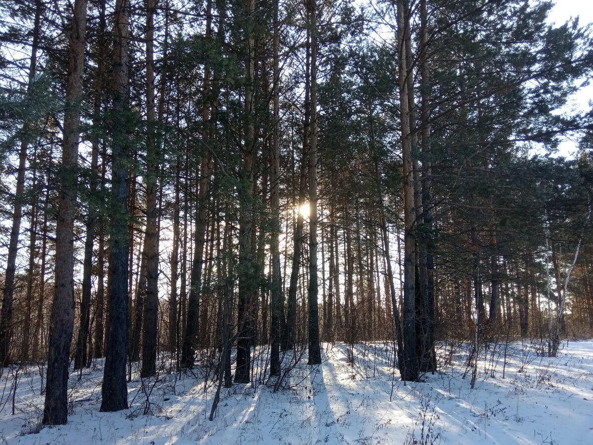 Фотография из личного архива автора