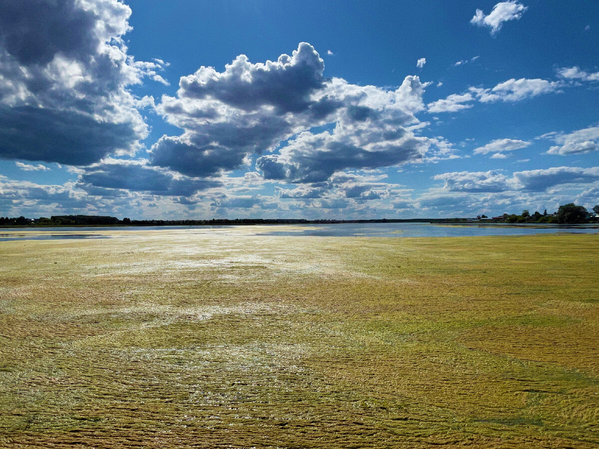 Вадское озеро Нижегородская область