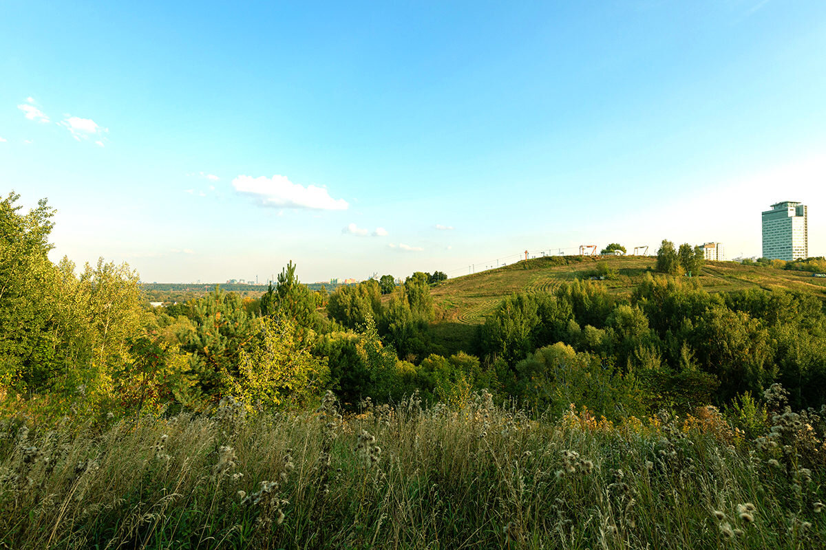 Крылатские холмы (фото: архив «Мой район»)