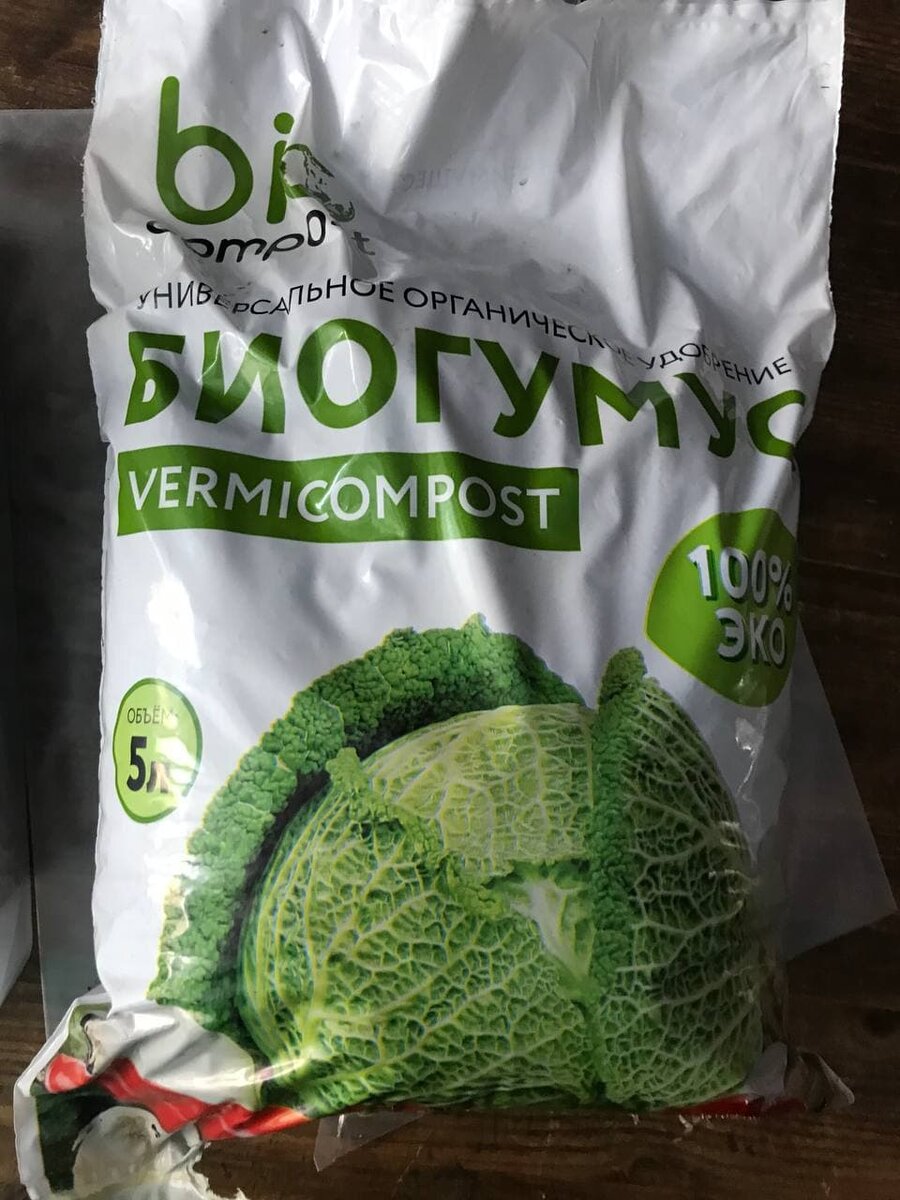 внутри мои домашние питомцы - черви