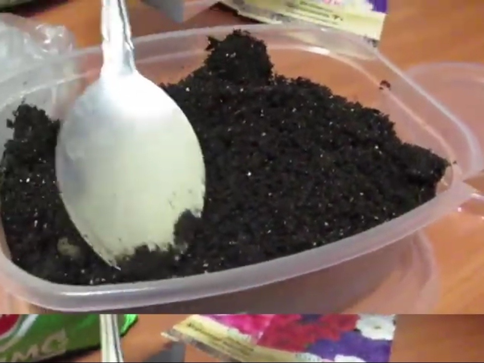 Грунт для петуний