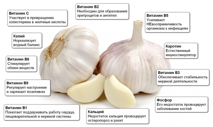 Краткий перечень главных полезностей. Источник: ftimes.ru