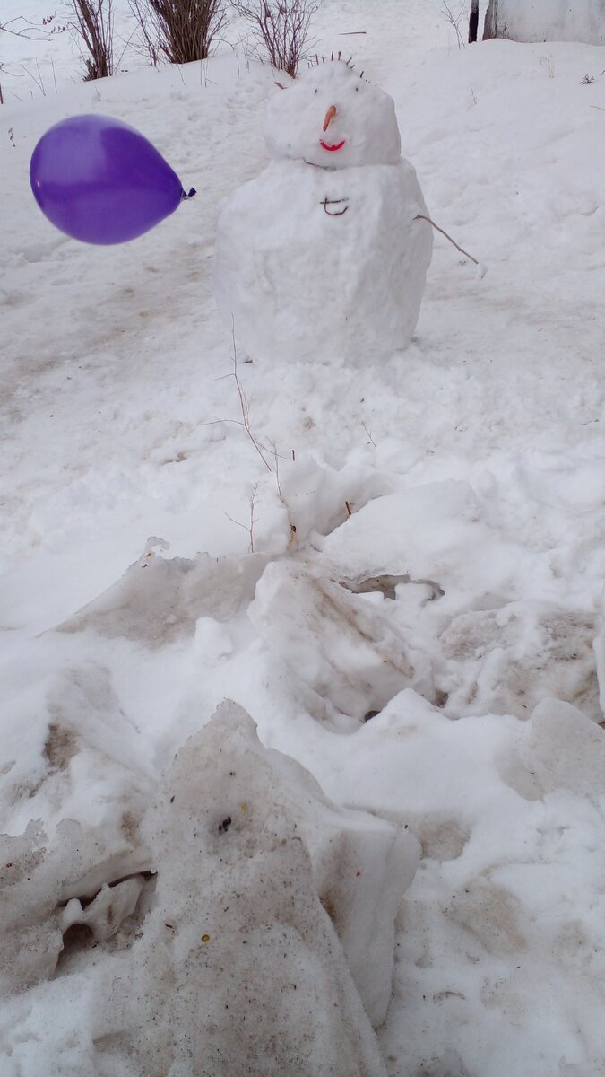 тот снеговичок. Фото автора.