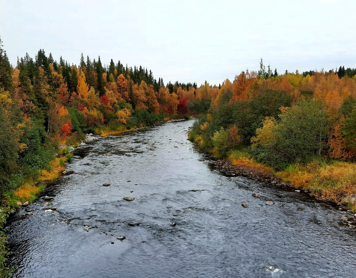 Золотая осень. Терский берег.