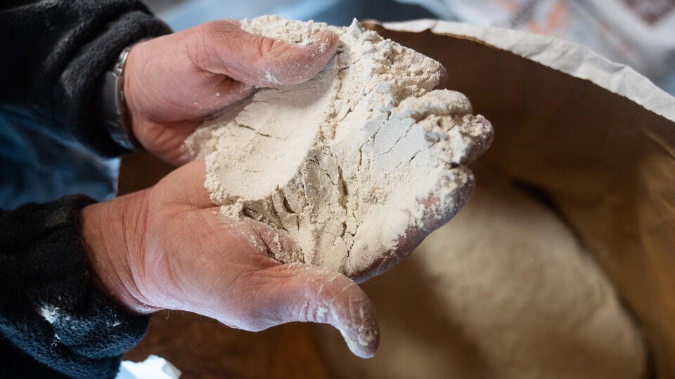 Фото: © globallookpress.com/Nicolas Armer/dpa