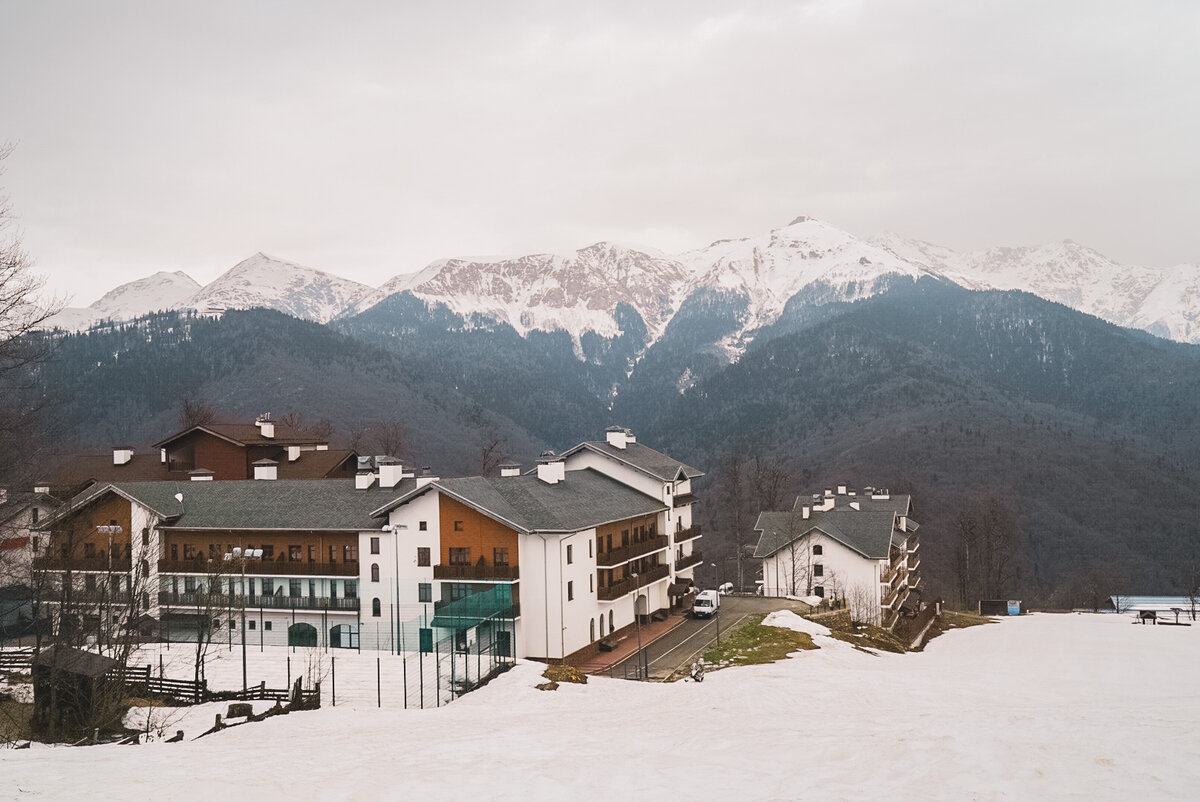 Роза Плато, Листайте далее---->  
