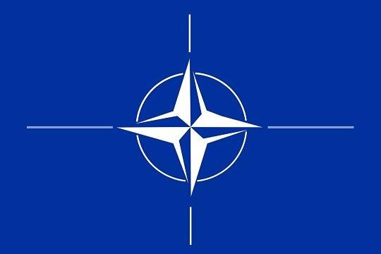    FT: вступление Швеции и Финляндии в НАТО в Европе могут счесть провокацией