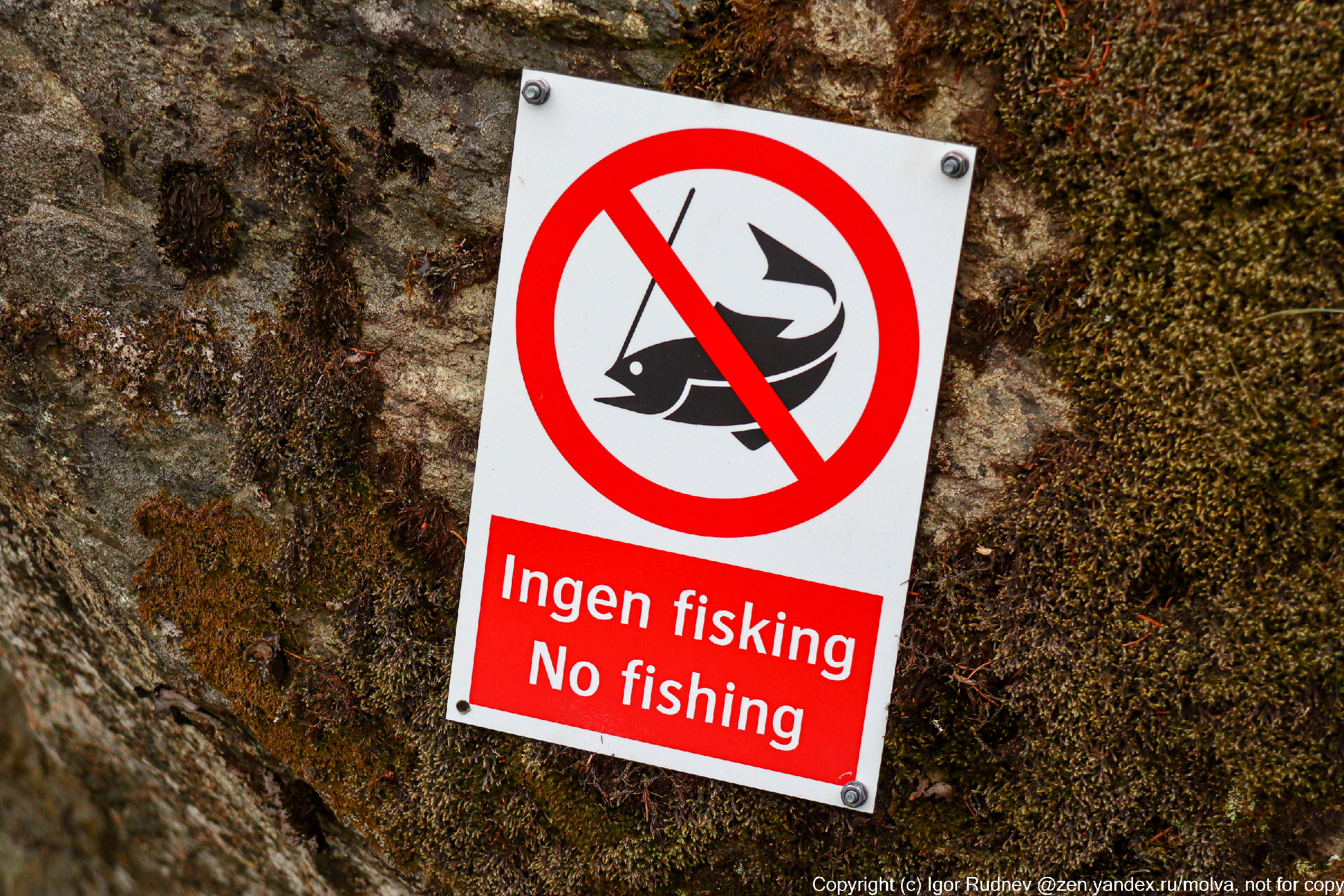 "Да у них там без лицензии даже на рыбалку не пойдешь" — рассказываю, как обстоят дела с рыбалкой в Норвегии