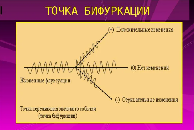 Точка бифуркации 13