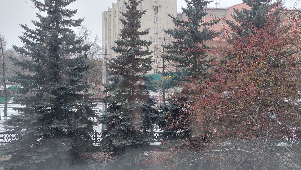 Утренний пейзаж из окна поликлиники.