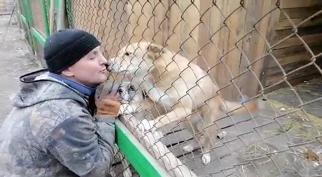 Верность, нежность, любовь!!!