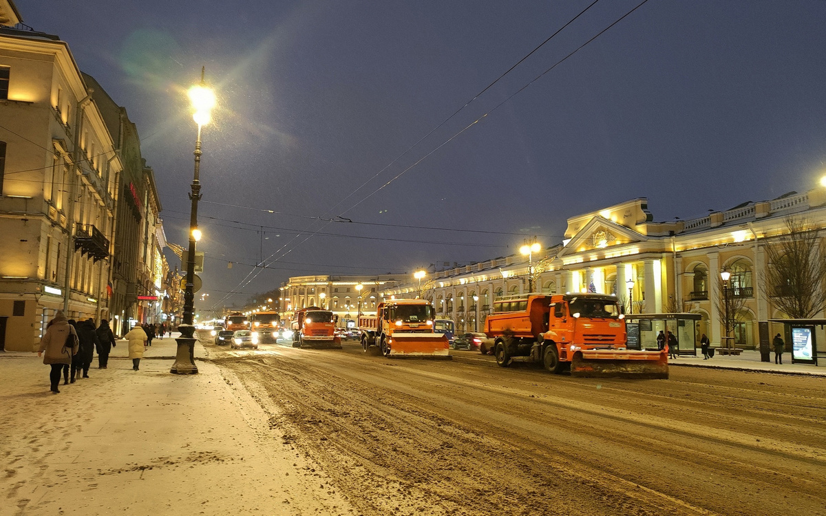   
 Фото: Комитет по благоустройству Петербурга