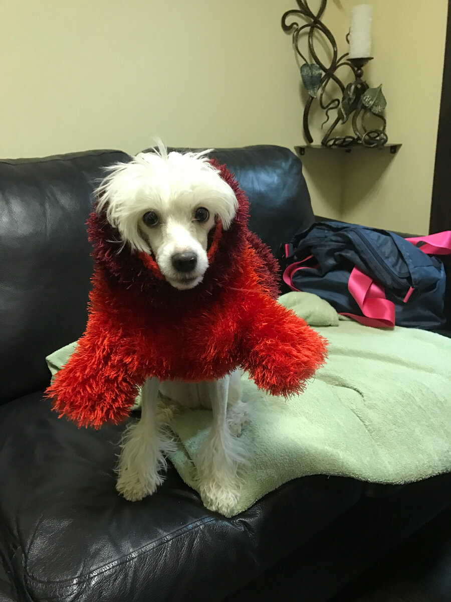 И будут с ними навек!