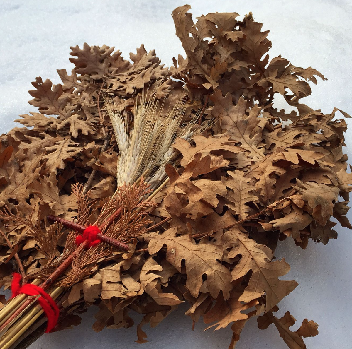 дубовый лист. дубовые ветки в сербии. бадняк. бадняк украшенный. дубовые ветки в сербии.