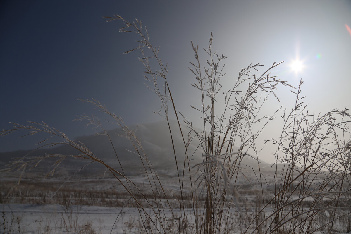 Фото: Тимур Шарипкулов