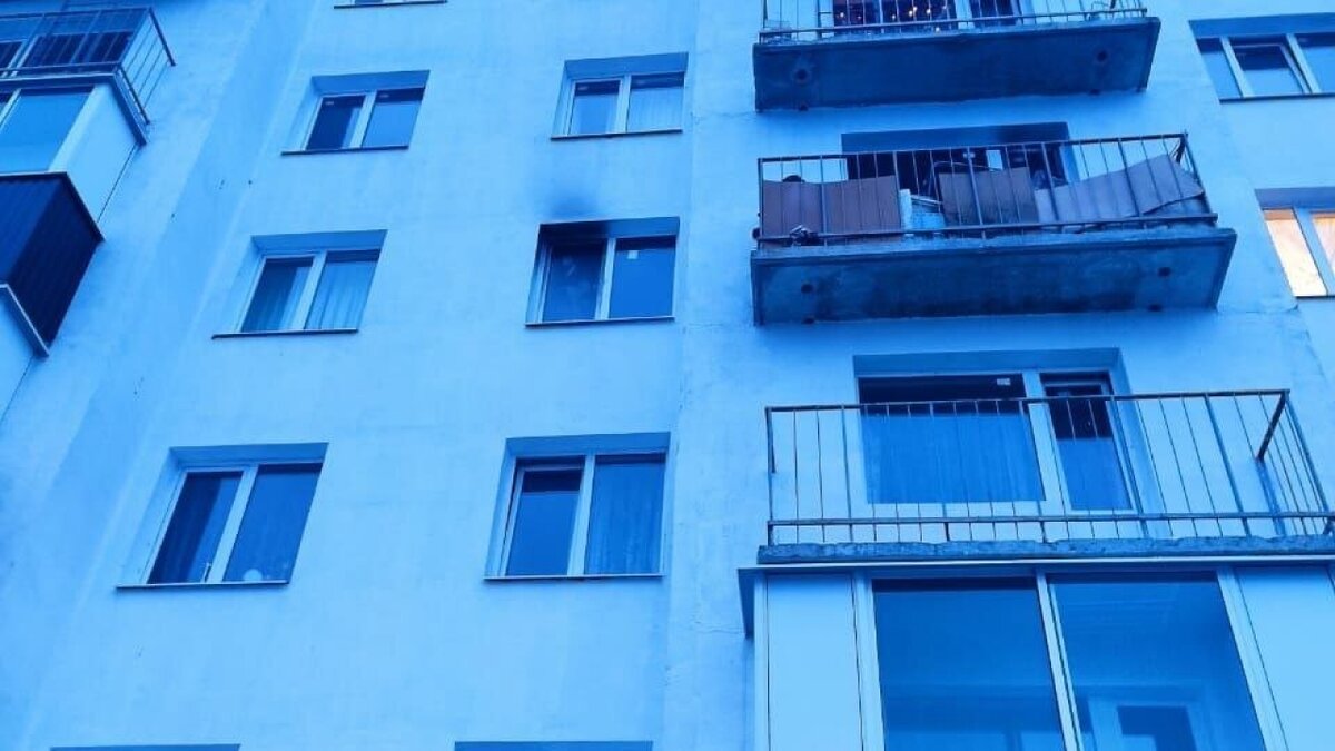    Балаковские пожарные спасли из огня девочку и реанимировали котенкаНовости Саратова и области – Сетевое издание «Репортер64»
