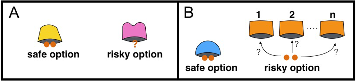     Дизайн экспериментов с двумя и несколькими чашками Penelope Lacombe et al. / PLoS One, 2022