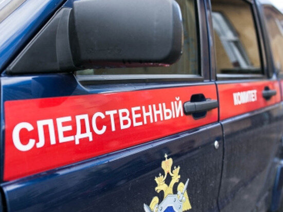     В Энгельсе бездомные собаки покусали несовершеннолетнюю девушку Фото: СУ СК РФ по Саратовской области