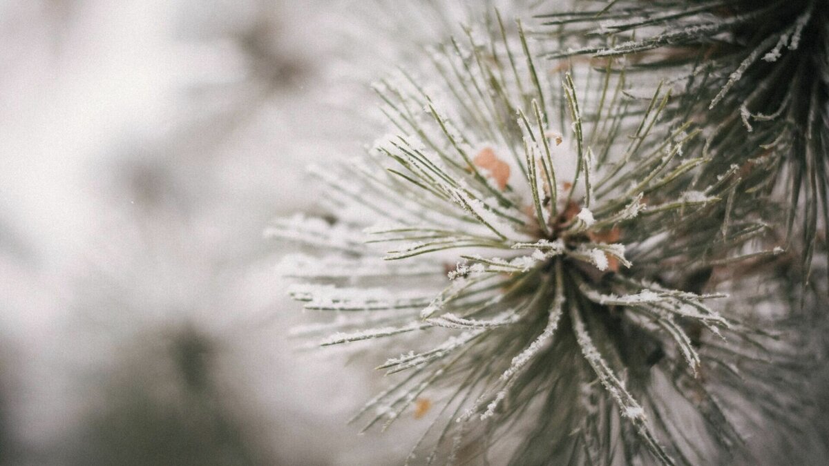     В Ольгинском районе Приморского края коммунальным ресурсом не обеспечены около 900 жилых домов в которых проживает около 1,8 тысяч человек. В снежную бурю люди остались без электричества, отопления, а некоторые и без воды. Делом заинтересовались в прокуратуре.