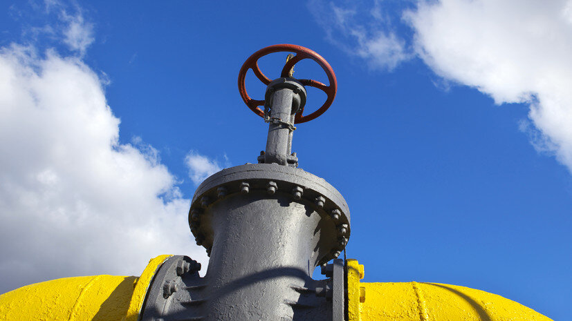   Gettyimages.ru walrusmail