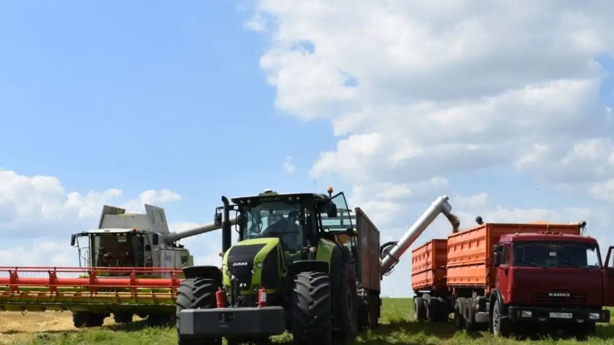 Фото:пресс-служба УК "Август-Агро"
