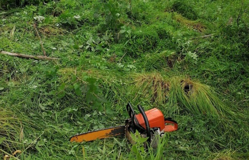     Жителя Северска задержали по горячим следам. Фото: пресс-служба администрации ЗАТО Северск