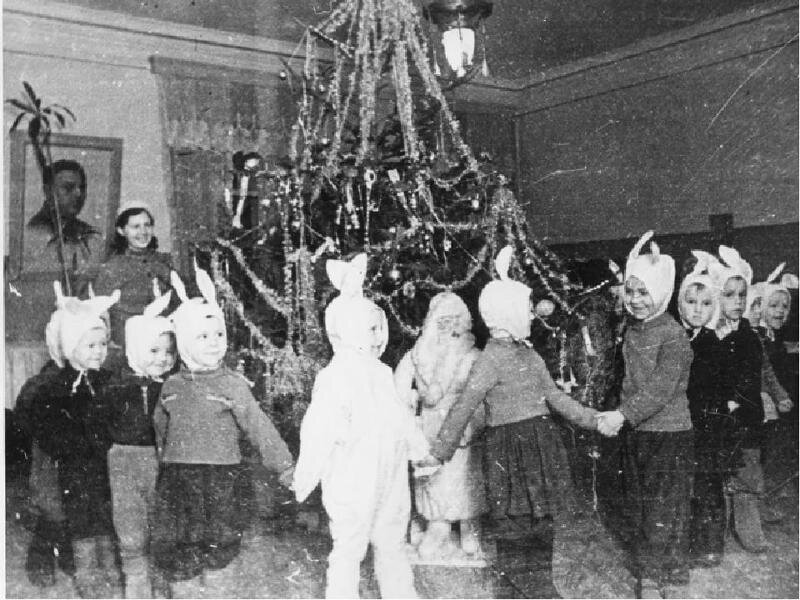 Новогодняя елка. Фотография из интернета.