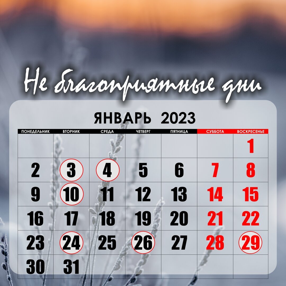 Календарь работы на январь 2025