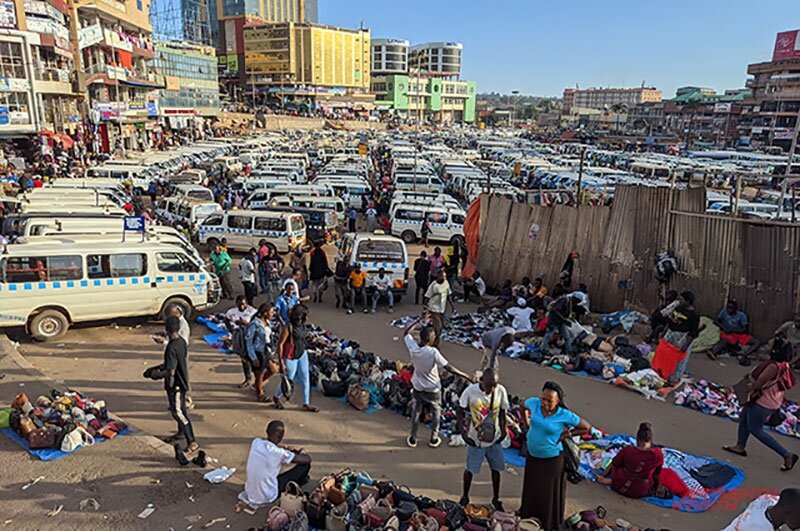    Фото:  АиФ/ Георгий Зотов
