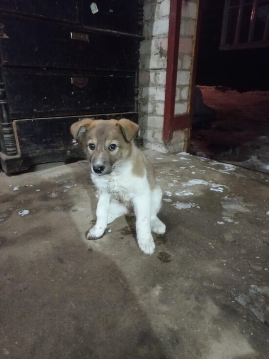     фото Типичное Подслушано в Нерехте вк