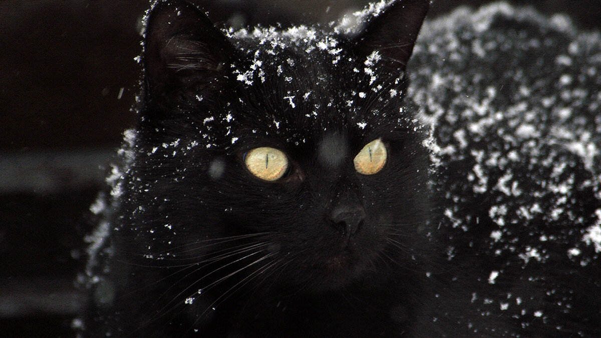 источник фото: b-cdn.net