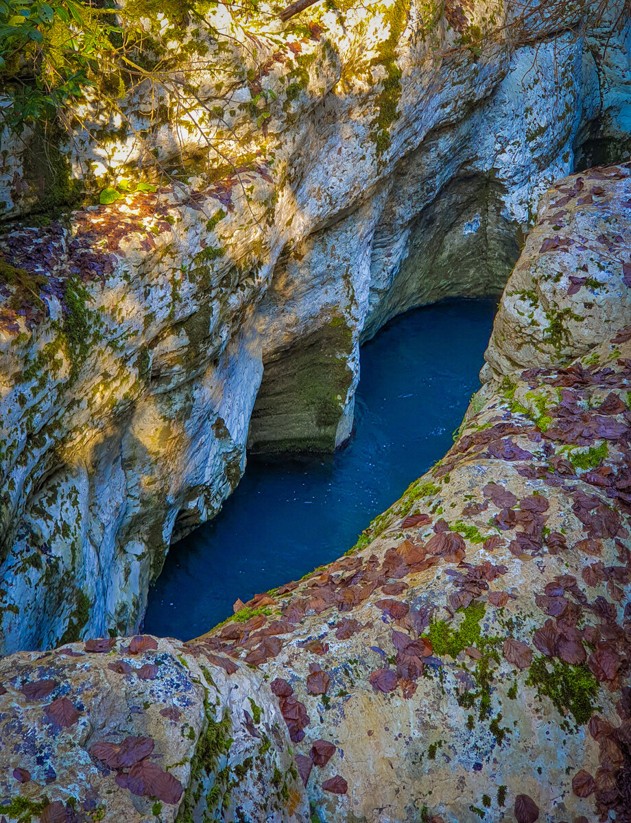По блестящим скалам и мокрым листьям можно прочувствовать, насколько же там скользко.  