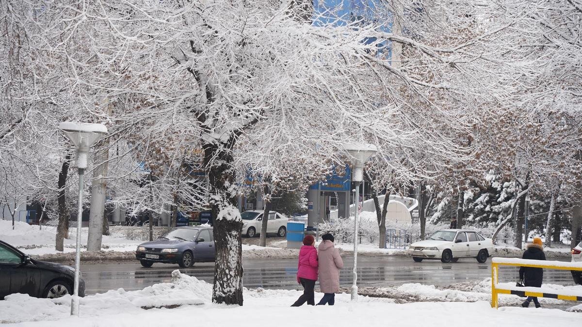    Люди идут по улице зимой:NUR.KZ / Владимир Третьяков