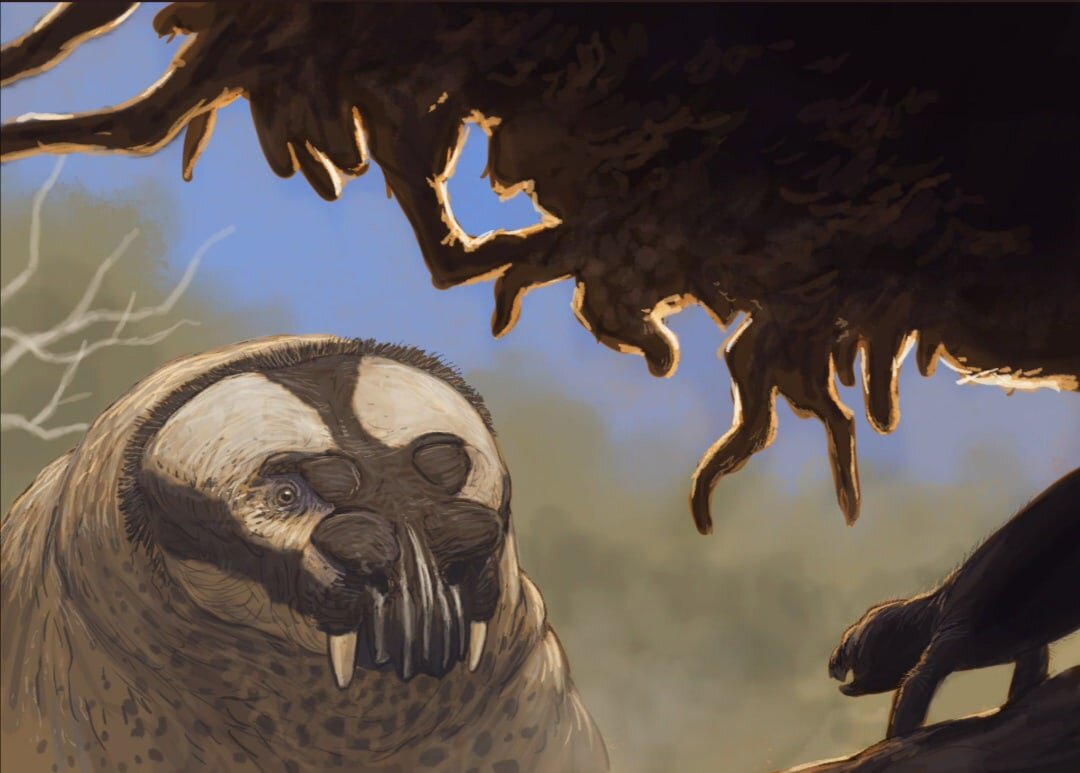 Да не брал я твой телефон, не брал!